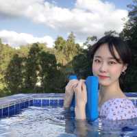 숲에서 수영하기! 제주 히든클리프 호텔 수영장