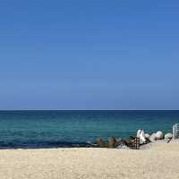 동해바다의 대표_ 강문해변⛱️