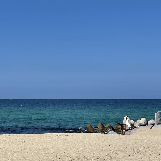동해바다의 대표_ 강문해변⛱️