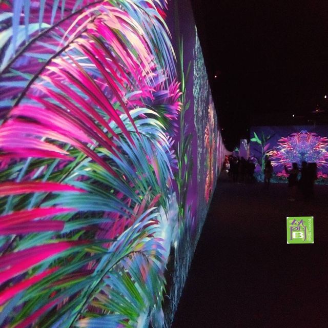 沉浸式數碼藝術博物館 ARTE M 登陸香港