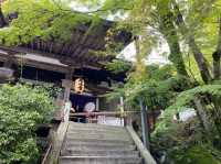 【滋賀】源氏物語の始まりの地！石山寺をご紹介