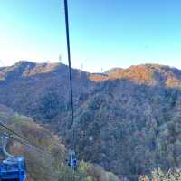 【新潟】紅葉が楽しめるゲレンデ