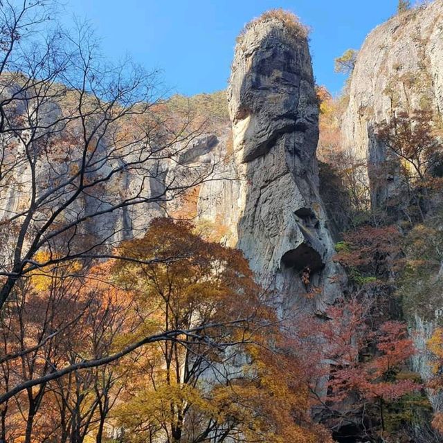 대한민국 5대단풍성지