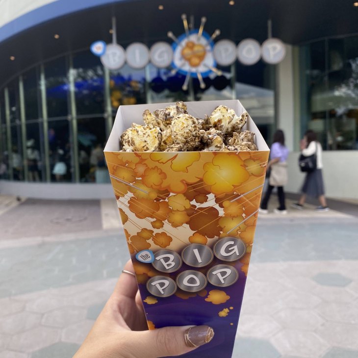 ディズニー唯一のポップコーン専門店 | Trip.com 浦安