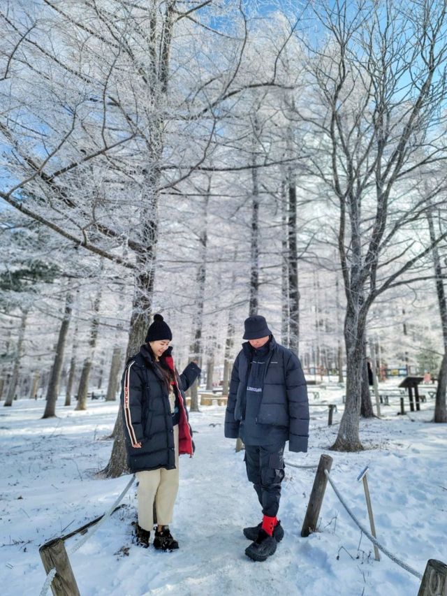 차타고 해발1330m 만항재를 즐기는 눈꽃여행❄️🤍