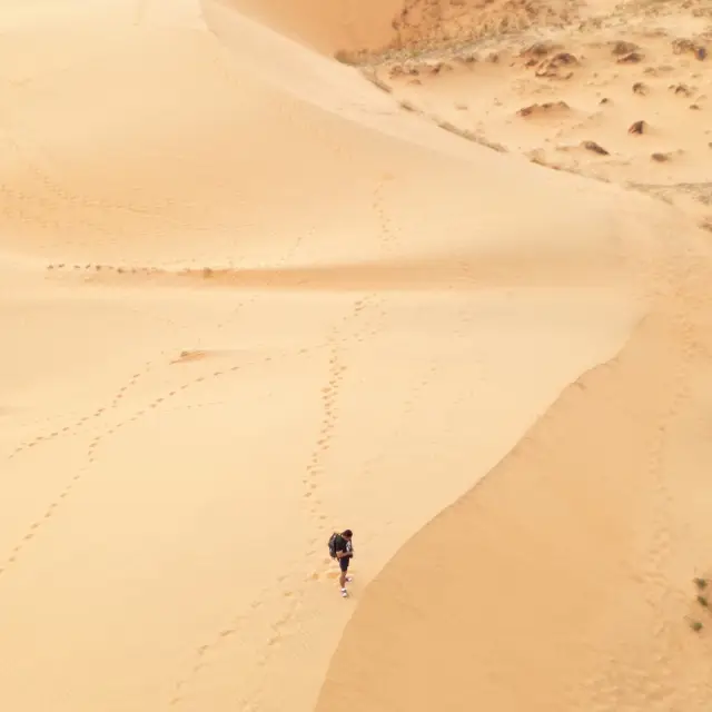 it looks like in other world - RAD SAND DUNE