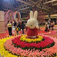 兔年迎新春🐰🐰太古城Miffy同你拜早年