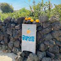 제주갬성하면 귤, 포토존 귤밭상점
