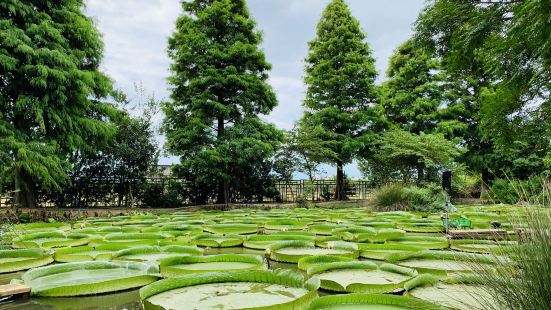 Lianheyuan Farm - Straw Museum