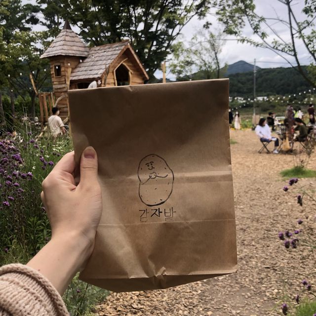 감자빵 원조, 춘천 카페 감자밭 🥔