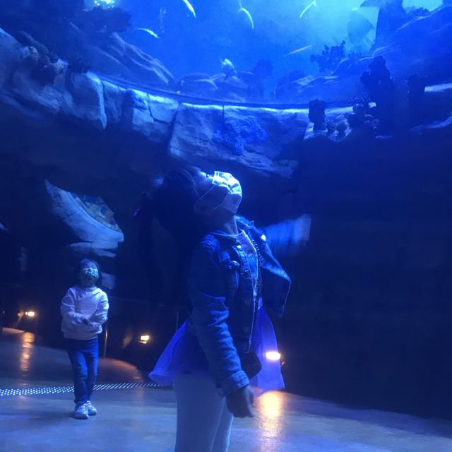 海洋公園