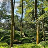 Evolution Garden