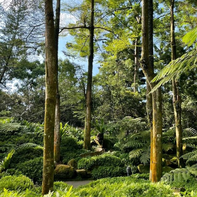 Evolution Garden