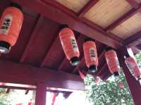 【大分】海地獄が見える！白龍稲荷大神⛩
