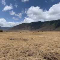 Wildlifes at their best, Ngorongoro
