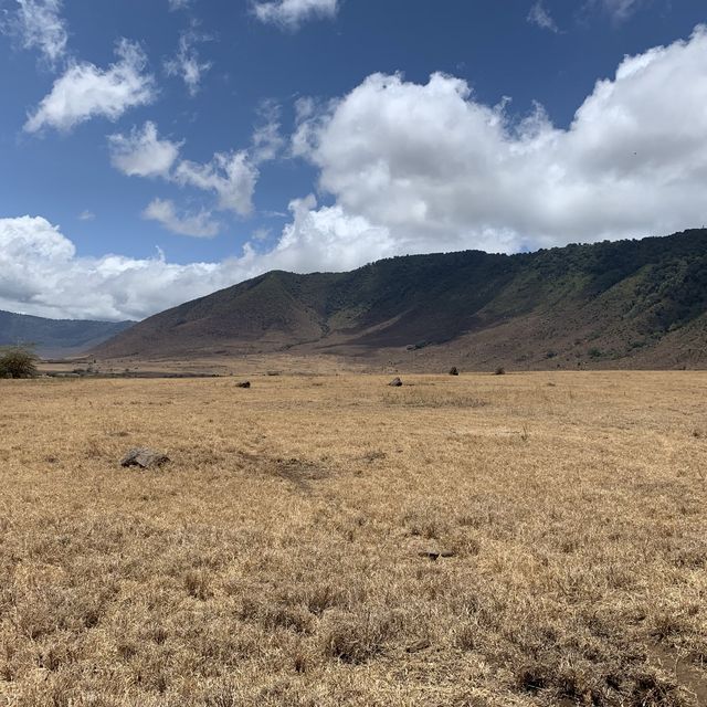 Wildlifes at their best, Ngorongoro