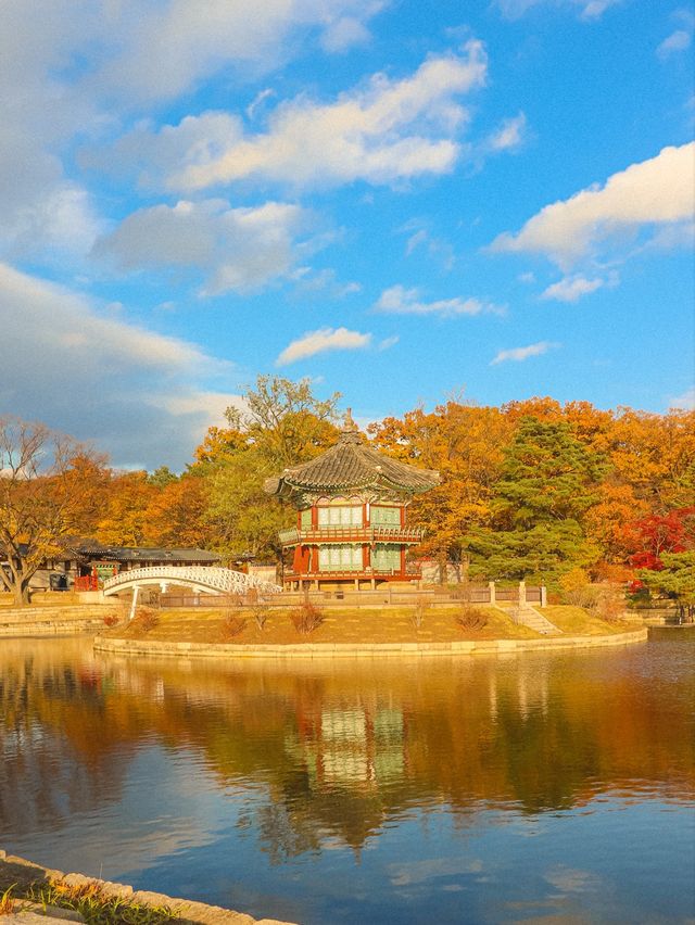 [서울] 경복궁의 낮과 밤