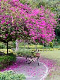 Floral Creek ที่พักสุดว้าวในสวนดอกไม้💐🌷🌸