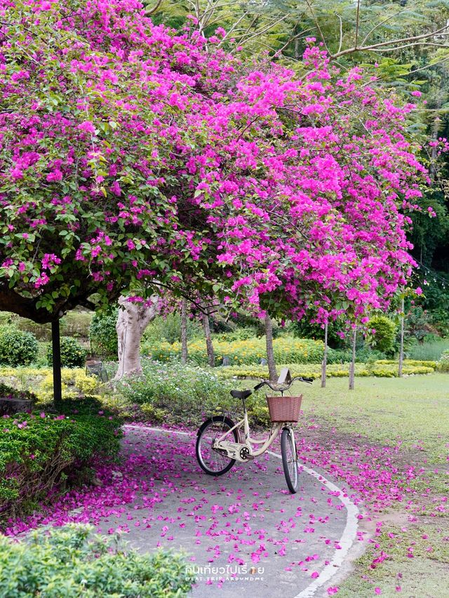 Floral Creek ที่พักสุดว้าวในสวนดอกไม้💐🌷🌸