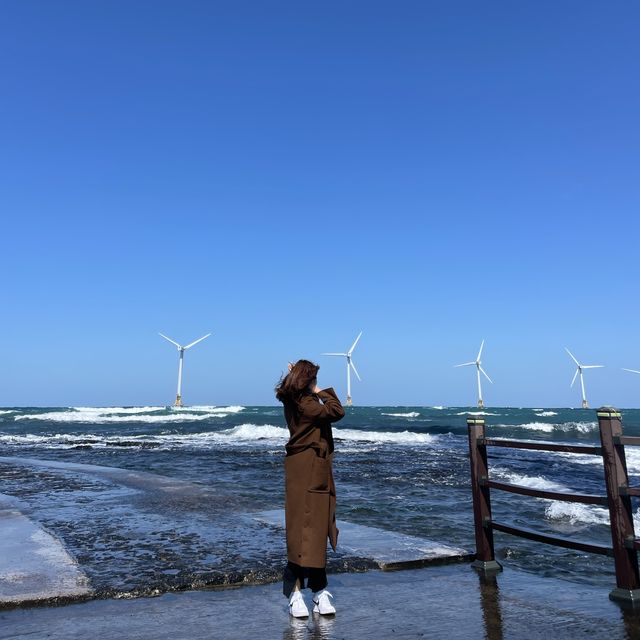 제주 핫한 봄 여행 코스 ‘싱계물공원’ 
