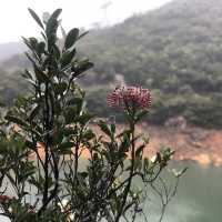 Tai Tam Reservoir Hong Kong 