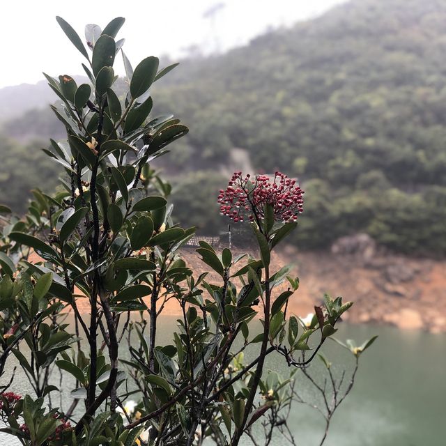 Tai Tam Reservoir Hong Kong 