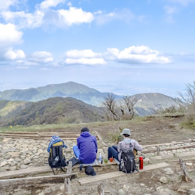 春の塔ノ岳山頂