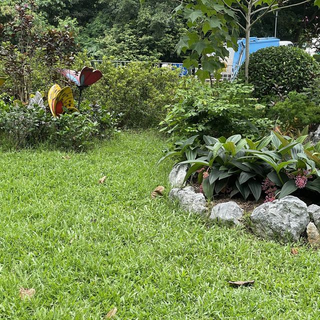 賞花好地方「蝴蝶灣公園」