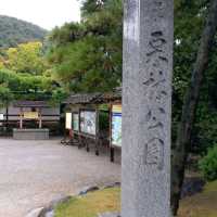 日式庭園美景🌳🌳🌳