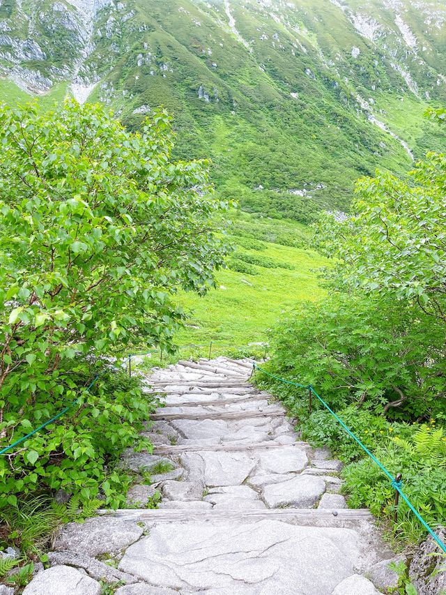 駒ヶ岳【千畳敷カール】週末山散策