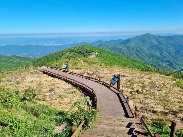1시간반만에 정상에 도착하는 지리산코스