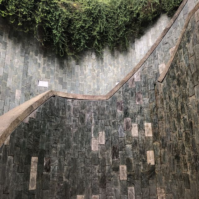 Fort Canning Tree Tunnel