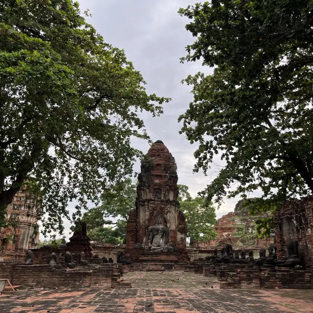 Wat Maha That : beautiful antique temple