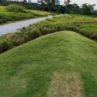 Jurong Lake Gardens