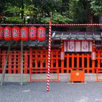 【日本 京都】拍照勝地！千本鳥居 ！