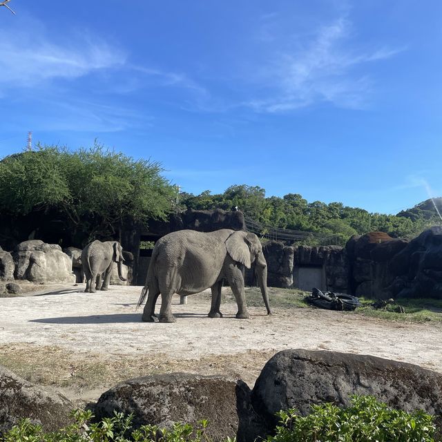 台北市立動物園