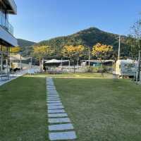 마운틴 뷰 커피명가⛰