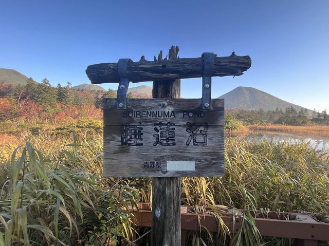 【青森】穴場の紅葉スポット🍁睡蓮沼