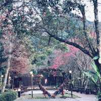 Hot spring Heaven - Miaoli 