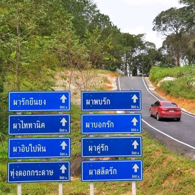 "อุทยานแห่งชาติภูหินร่องกล้า"