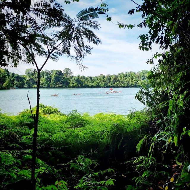 The Macritchie Petai Trial - Photo Ed