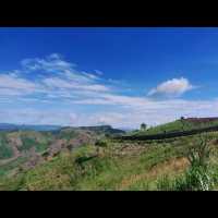 Akha Farmville🐑