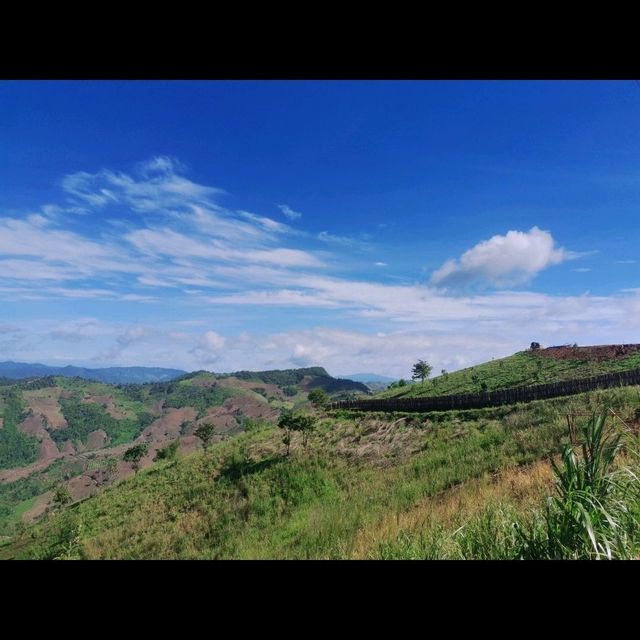 Akha Farmville🐑