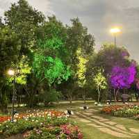 The Night Light of Flora Fest