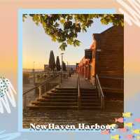 愛丁堡古老海港Newhaven Harbour風光如畫