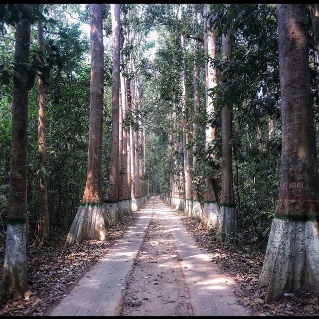 Baikka Beel Wetland Sanctuary