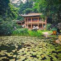 Yuexing garden ☘️🌹🌴
