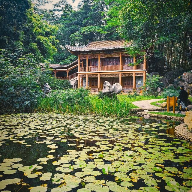 Yuexing garden ☘️🌹🌴