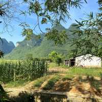 Excellent Homestay!