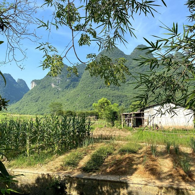 Excellent Homestay!